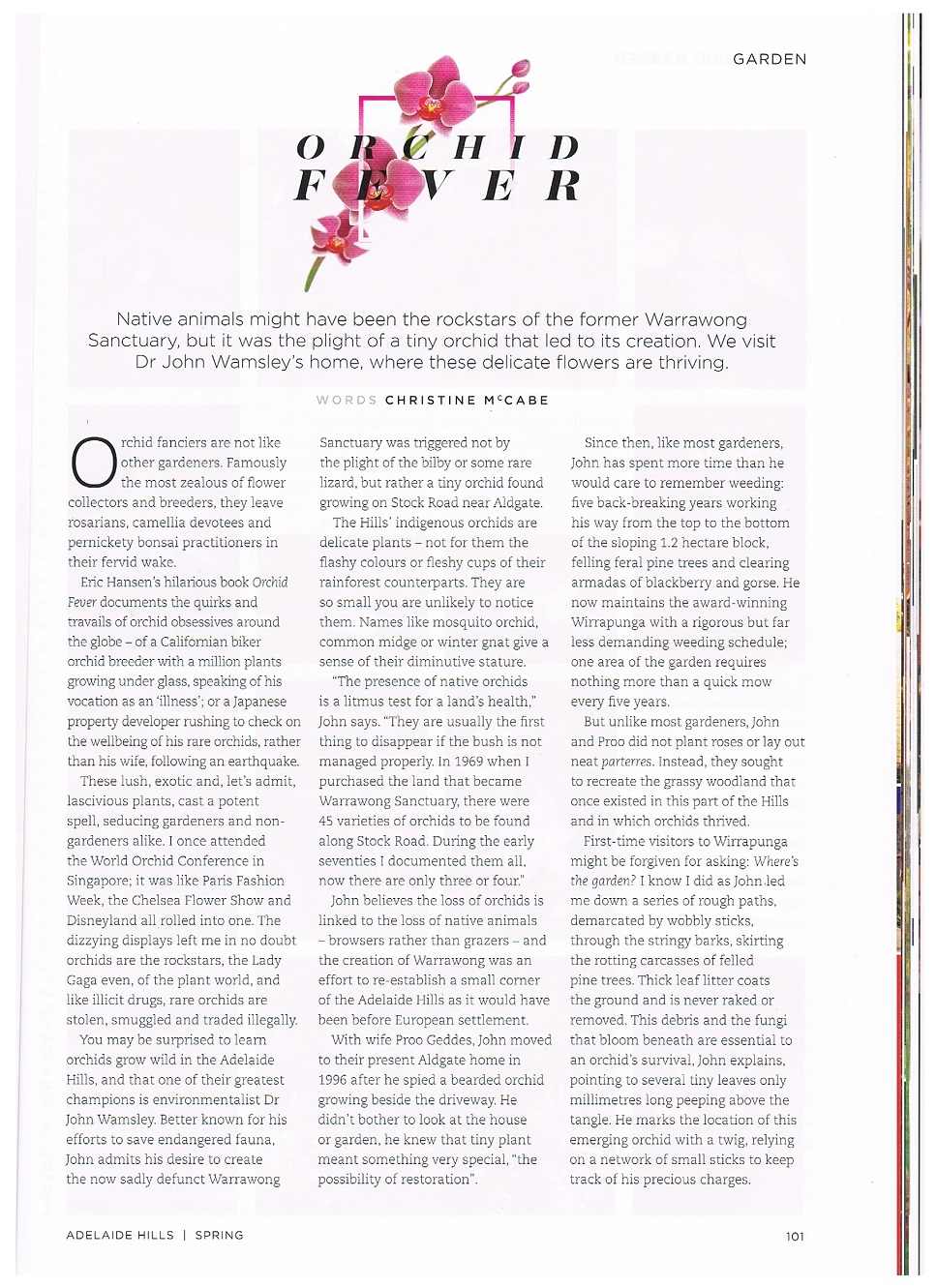 article