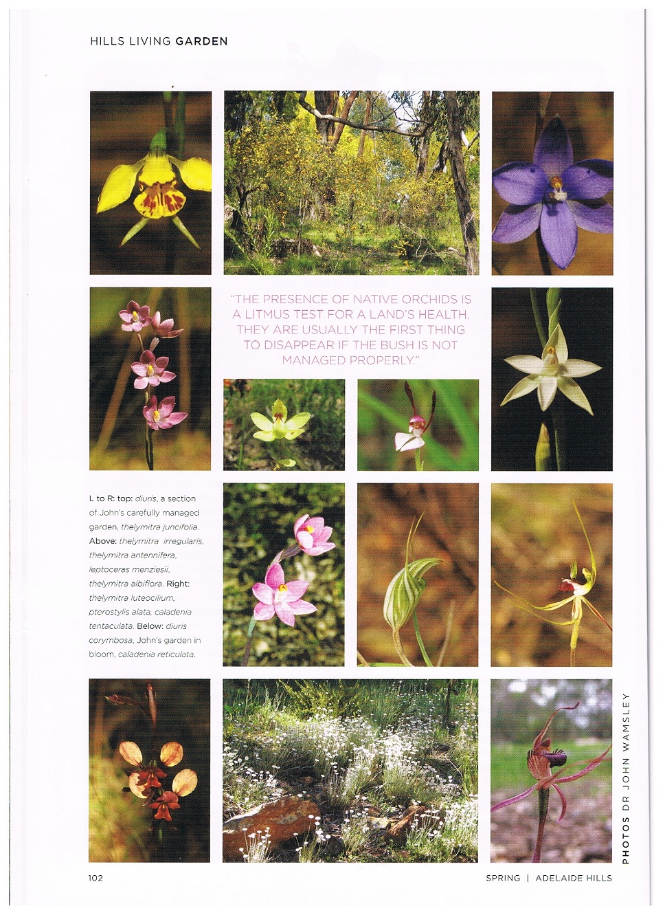 article
