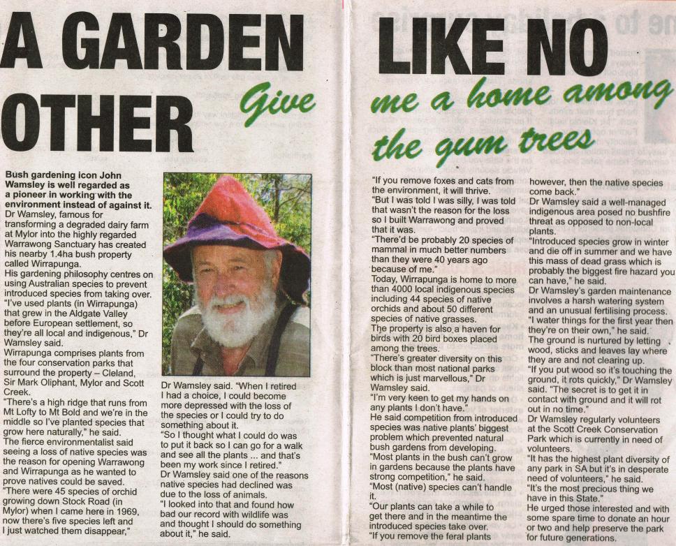 article