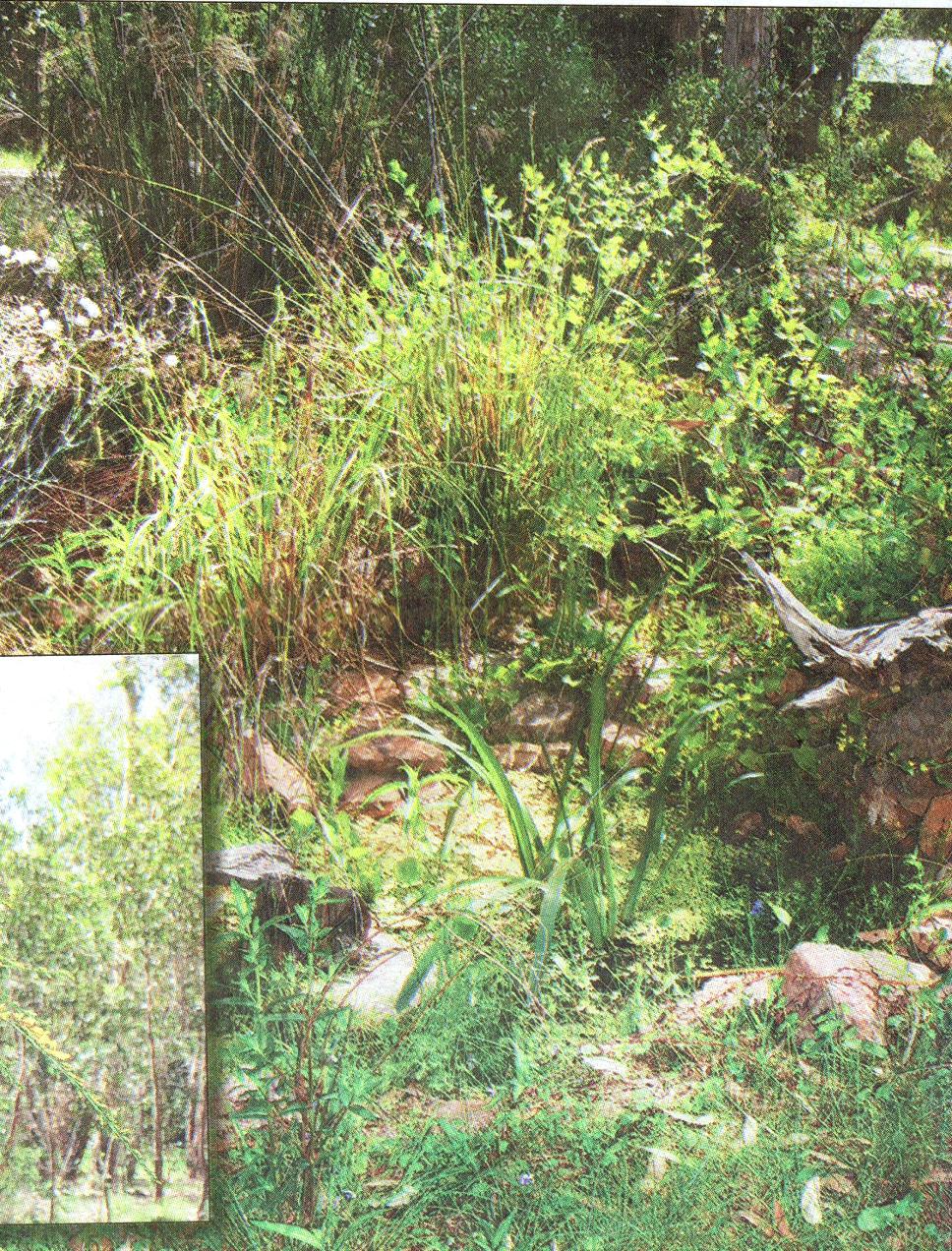 article