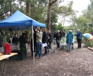 openday2