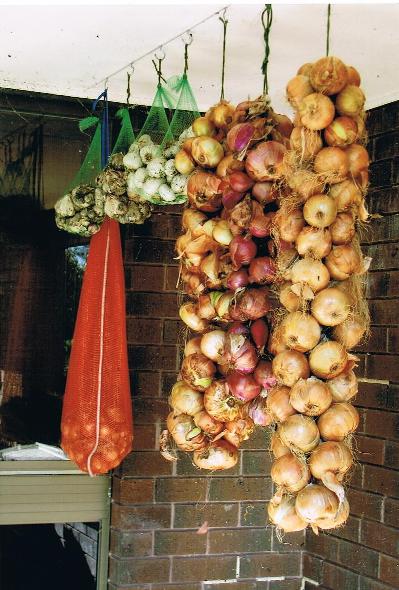 onions & garlic